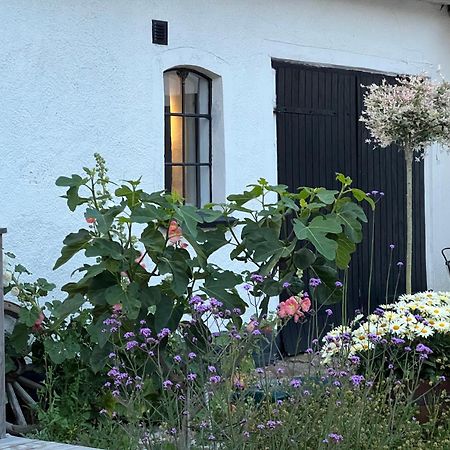 Backadal Gard Bnb Ystad Ngoại thất bức ảnh