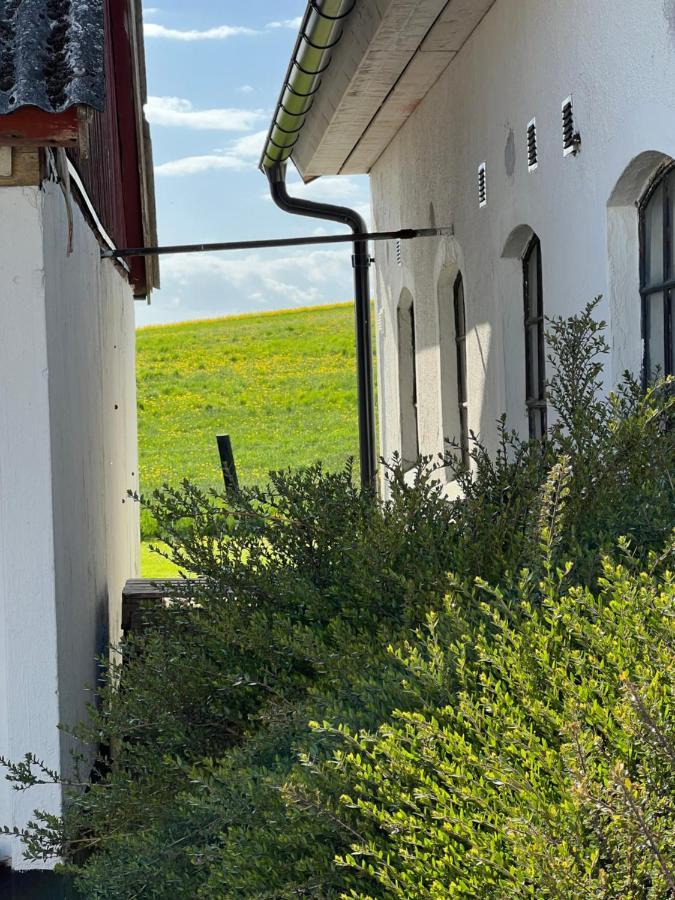 Backadal Gard Bnb Ystad Ngoại thất bức ảnh