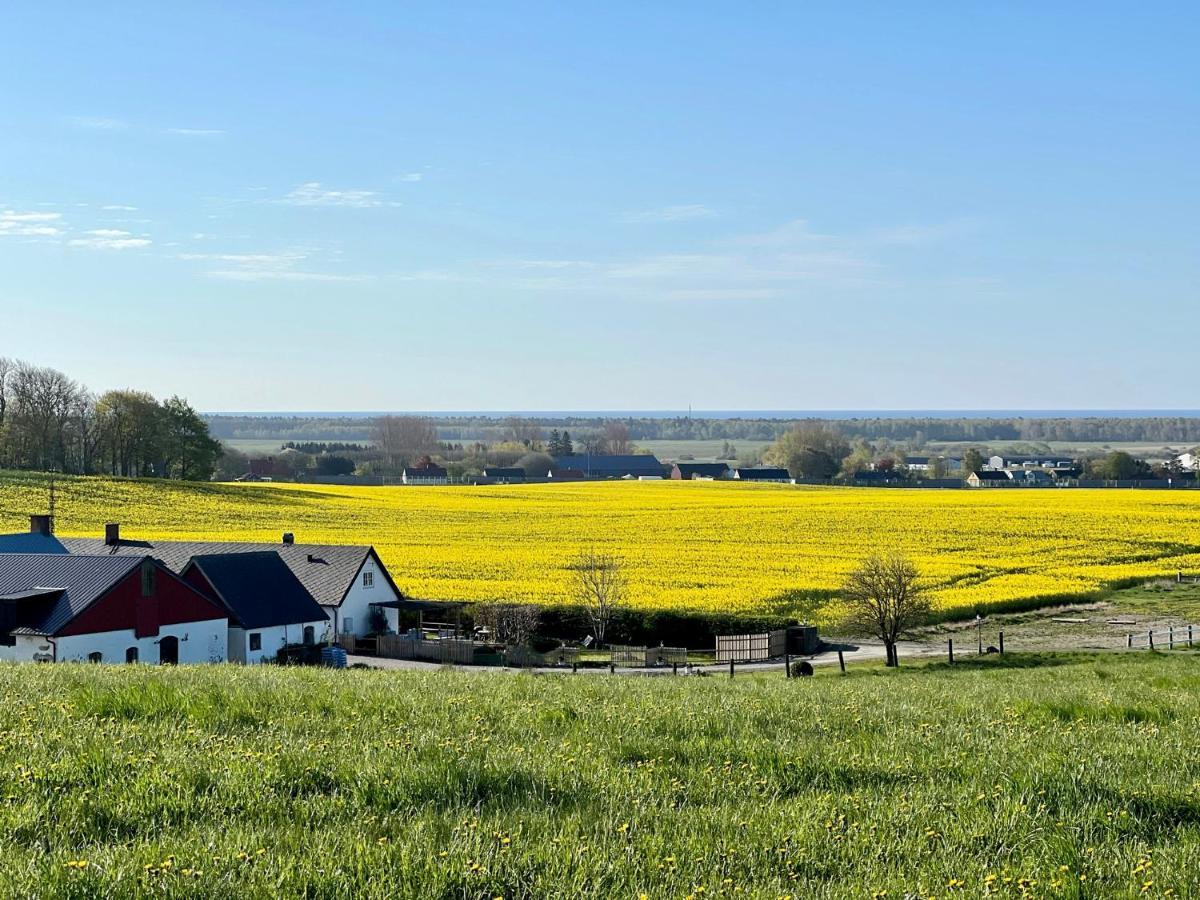 Backadal Gard Bnb Ystad Ngoại thất bức ảnh