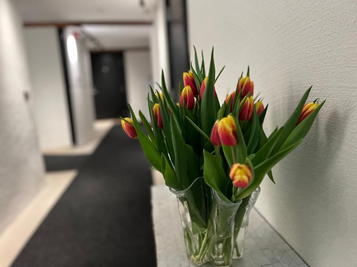 Backadal Gard Bnb Ystad Ngoại thất bức ảnh