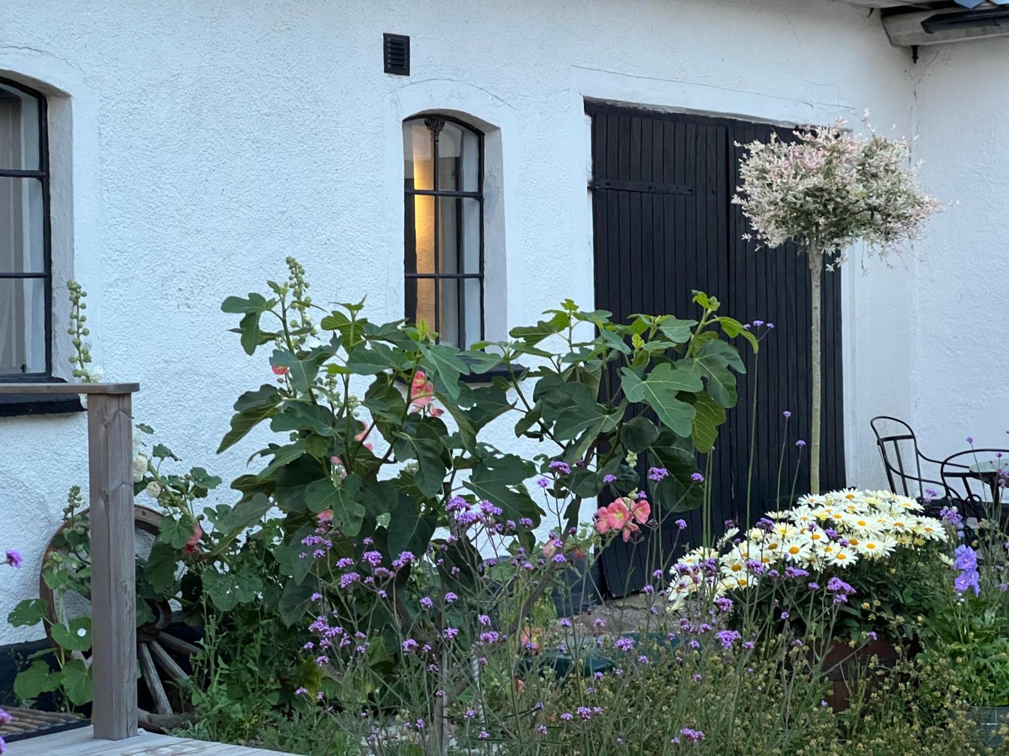 Backadal Gard Bnb Ystad Ngoại thất bức ảnh