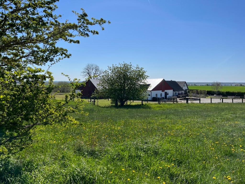 Backadal Gard Bnb Ystad Ngoại thất bức ảnh
